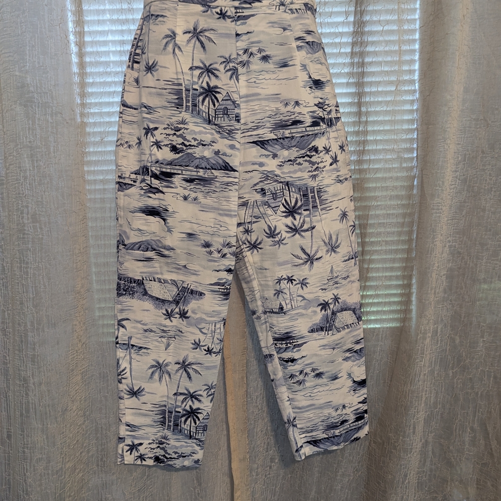 Briggs New York Blue and White Cropped Pants - Picture 1 of 4